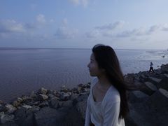 -南汇嘴观海公园