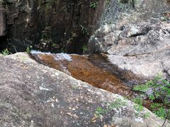 -银瓶嘴森林公园