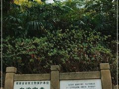 -白沙古井