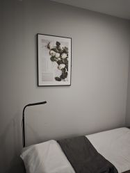 -张小野·专业半永久纹眉