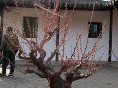 -无锡梅园公园