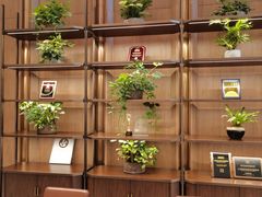 -上海虹桥祥源希尔顿酒店