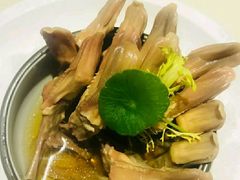 酒糟鸭舌-圆苑(上海广场店)