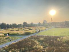 -汉长安城未央宫国家考古遗址公园