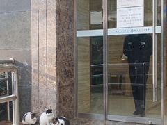 -武汉大学人民医院(首义院区)