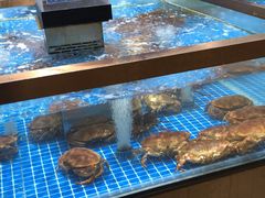 水产区-七鲜超市(通州ONE店)