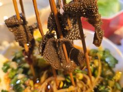-钢管厂五区小郡肝火锅串串香(总店)