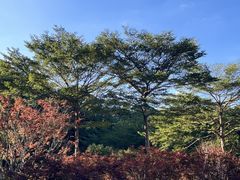 -广州市帽峰山景区