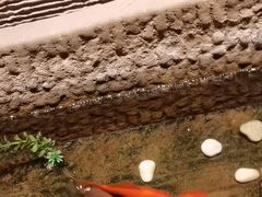 -良子健身·竹Spa(五四广场店)