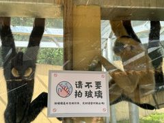 -合肥野生动物园