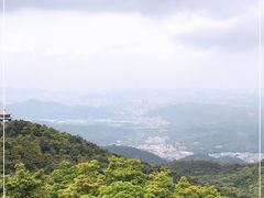 -梧桐山风景名胜区