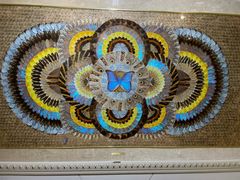 -上海昆虫博物馆