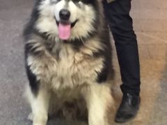 -万利隆·活力烘焙(人民路店)