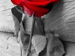 -锦江之星(淮安万达广场健康东路店)