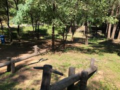 -蟠龙山长城景区