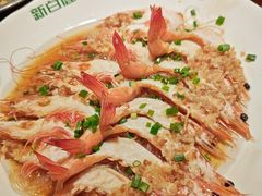 -新白鹿餐厅(第一百货店)