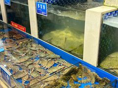 -新洪记·丽久饭店(铁西店)