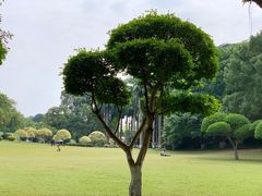 -南宁市动物园