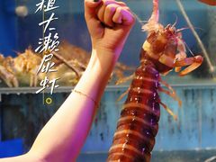 斑马濑尿虾-辉记炭烧海鲜大排档·老字号(福田店)
