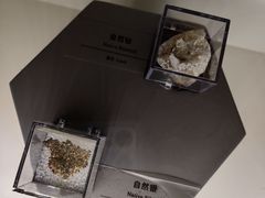-正佳自然科学博物馆