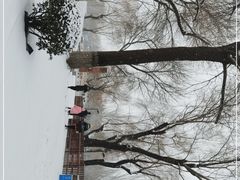 -丰台科技园生态主题公园