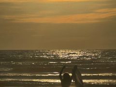 -北海金海湾红树林生态旅游区