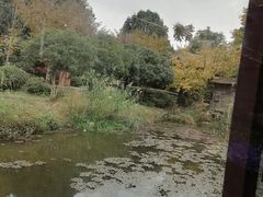 -西山人家·二十年老字号农家菜(旺山店)