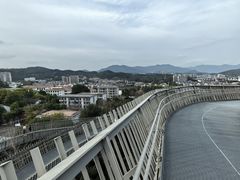 -福道