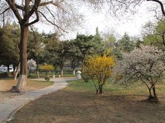 -辽宁大学(崇山校区)