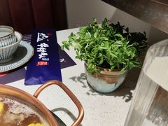 -牛村来人潮汕牛肉火锅(西单店)