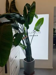 -春田皮肤管理中心品牌旗舰店