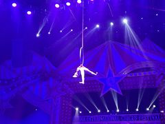 -珠海横琴长隆《卡卡虎奇遇记》