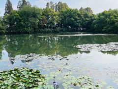 -西湖游船