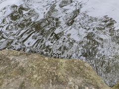 -深圳龙潭公园