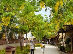 -一寨两国风景区
