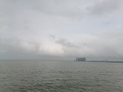 -观澳平台