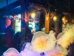 -太平洋海底世界