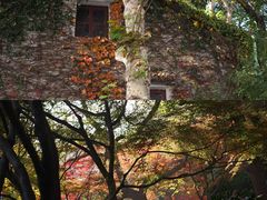 -北山街历史文化街区