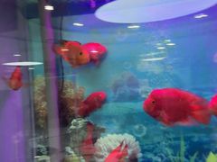 -雅悦齿科(顾村公园店)