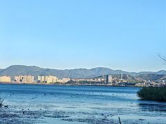 -洱海月湿地公园