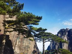 -黄山风景区