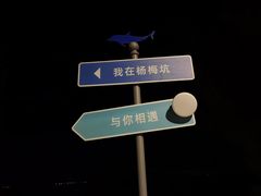 -杨梅坑