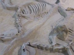 -洛阳周王城天子驾六博物馆