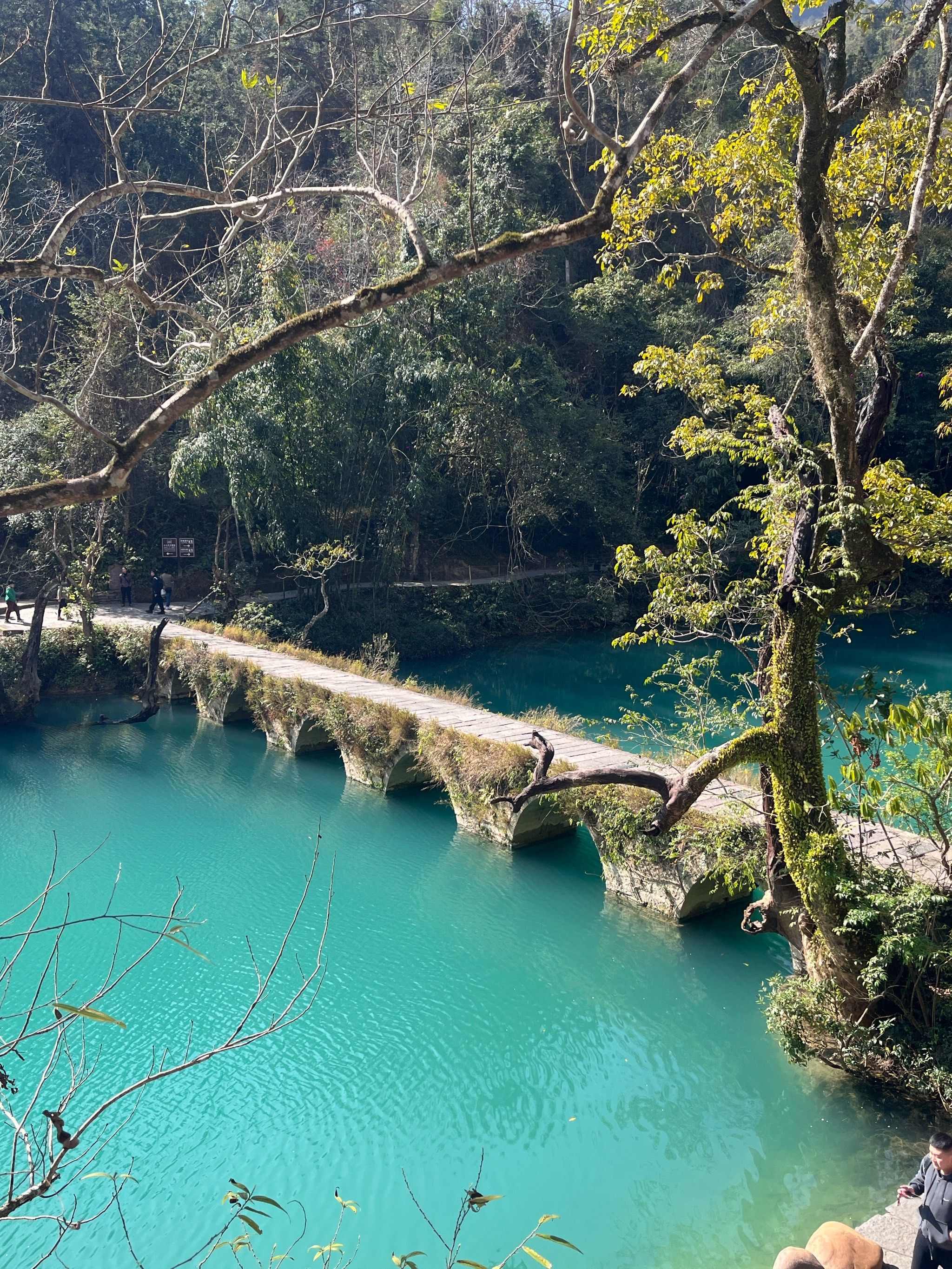 荔波小七孔后劲太足❗附上游玩攻略❗
