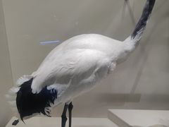 -中国湿地博物馆