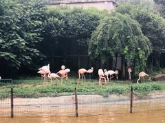 -西安秦岭野生动物园