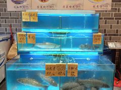 水产区-乡里八闽·福州乡土菜(火车北站店)