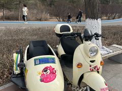 -大青山野生动物园