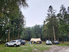 -武陵山森林公园