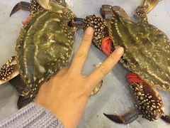 -北塘海鲜·天津菜(大光明桥旗舰店)